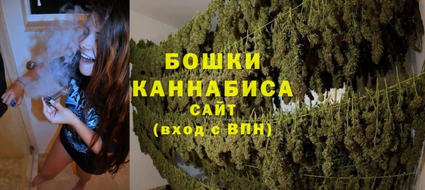 мет Елабуга
