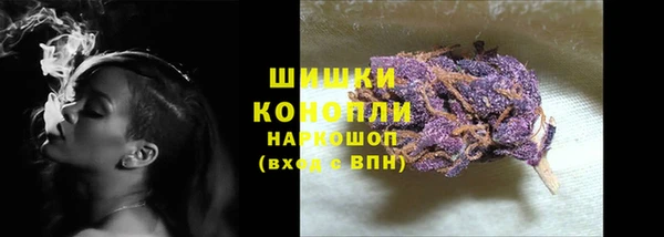 мет Елабуга