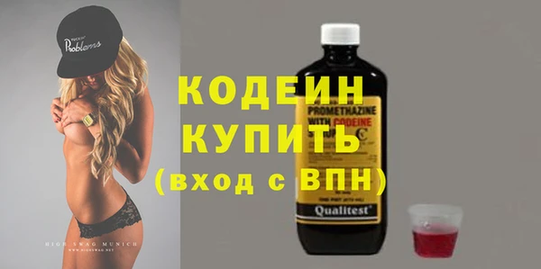 мет Елабуга