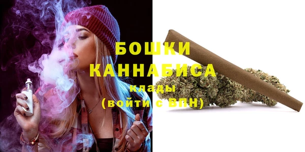 мет Елабуга
