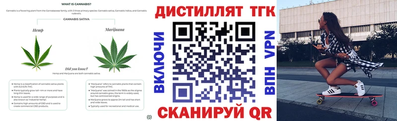 Купить закладки  Канаш  Дистиллят ТГК THC oil 